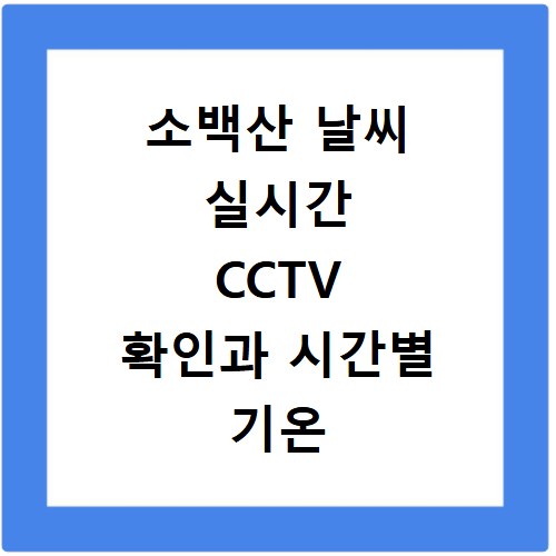 소백산 날씨 실시간 CCTV 확인과 시간별 기온 및 강수량 변화 알아보기