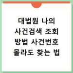 대법원 나의 사건검색 조회 방법 사건번호 몰라도 찾는 법
