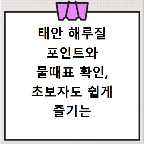 태안 해루질 포인트와 물때표 확인, 초보자도 쉽게 즐기는 방법