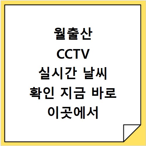 월출산 CCTV 실시간 날씨 확인 지금 바로 이곳에서