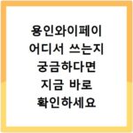 용인와이페이 어디서 쓰는지 궁금하다면 지금 바로 확인하세요
