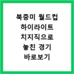 북중미 월드컵 하이라이트 치지직으로 놓친 경기 바로보기