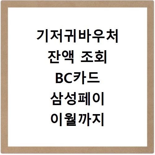 기저귀바우처 잔액 조회 BC카드 삼성페이 이월까지 한 번에 확인