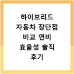 하이브리드 자동차 장단점 비교 연비 효율성 솔직 후기