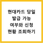 현대카드 당일 발급 가능 여부와 신청 현황 조회하기