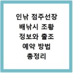 인낚 점주선장 배낚시 조황 정보와 출조 예약 방법 총정리
