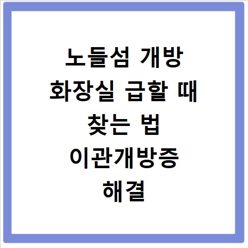 노들섬 개방 화장실 급할 때 찾는 법 이관개방증 해결