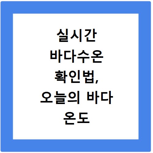 실시간 바다수온 확인법, 오늘의 바다 온도 정보 바로 알기