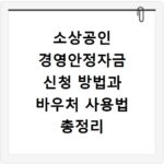 소상공인 경영안정자금 신청 방법과 바우처 사용법 총정리