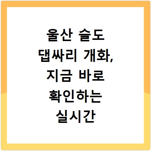 울산 슬도 댑싸리 개화, 지금 바로 확인하는 실시간 정보