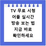 TV 무료 시청 어플 실시간 방송 보는 법 지금 바로 확인하세요
