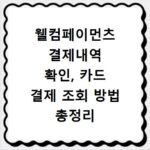 웰컴페이먼츠 결제내역 확인, 카드 결제 조회 방법 총정리