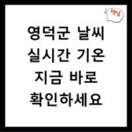 영덕군 날씨 실시간 기온 지금 바로 확인하세요